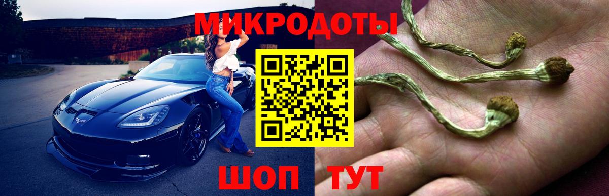 Псилоцибиновые грибы мухоморы  дарнет шоп  Вход с VPN  Ленинск-Кузнецкий  Псилоцибиновые грибы мицелий 