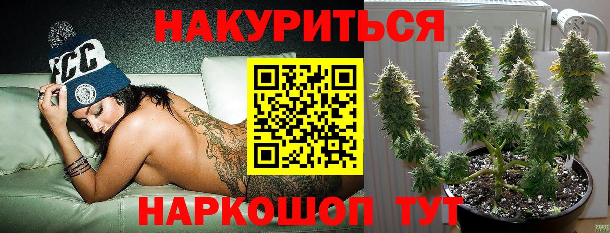Конопля конопля Ленинск-Кузнецкий